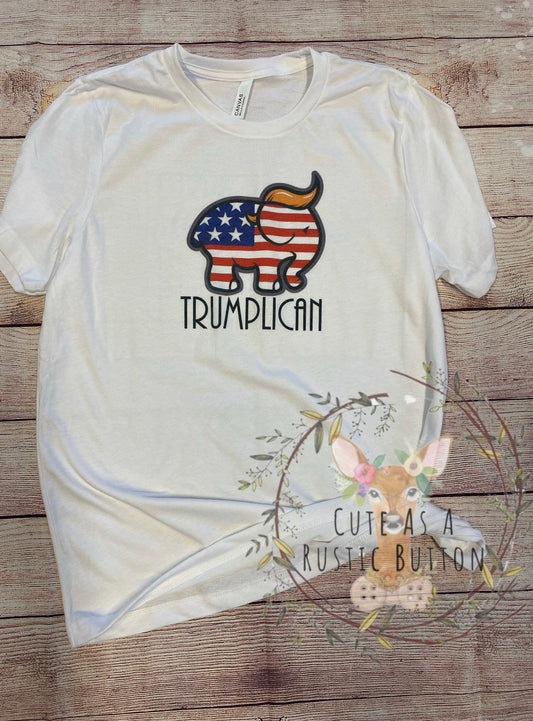 Trumplican, Trump 2020, American flag, presidential